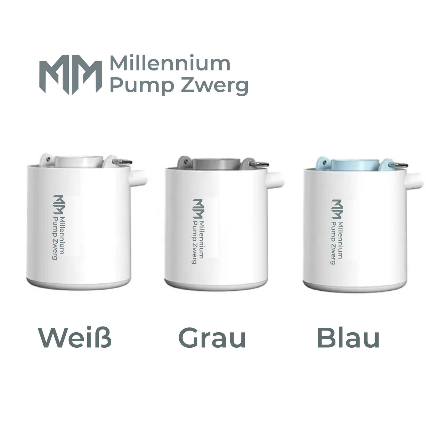 Pump Zwerg