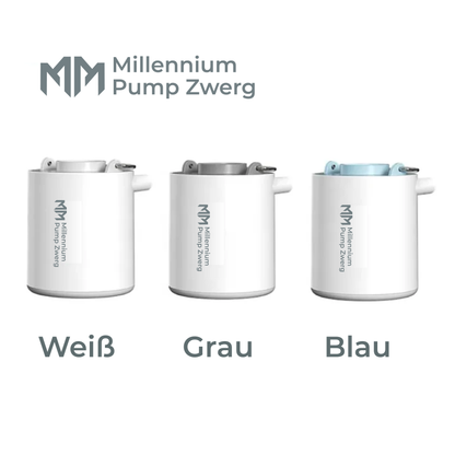 Pump Zwerg